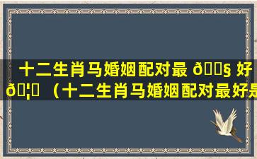 十二生肖马婚姻配对最 🐧 好 🦟 （十二生肖马婚姻配对最好是什么）